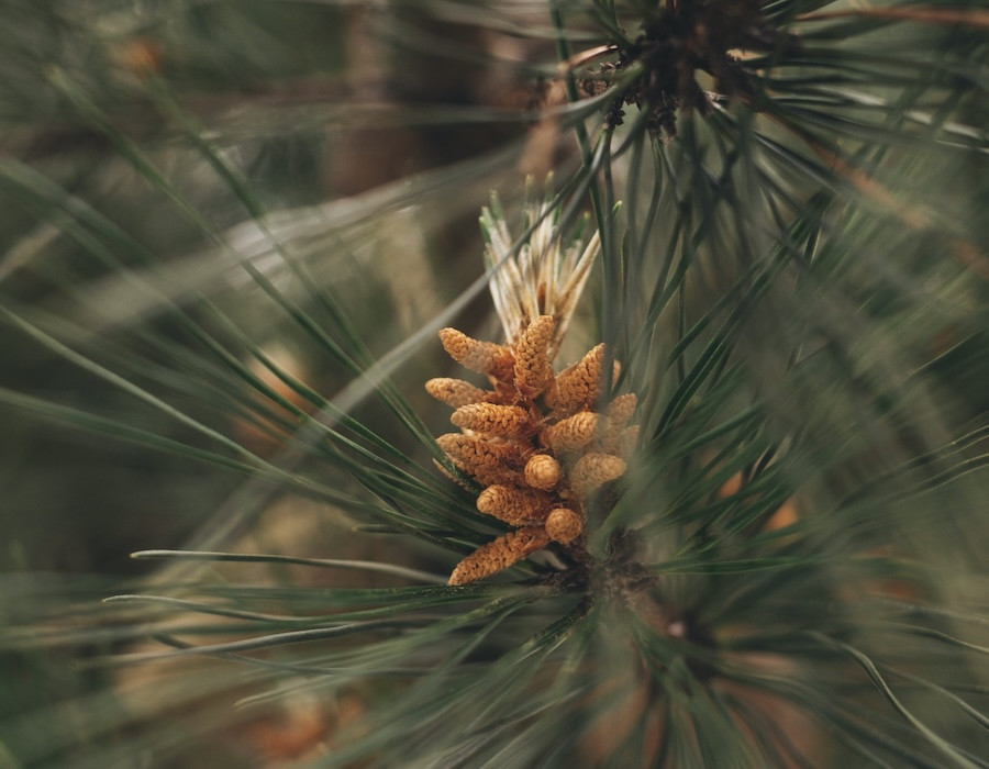 Valore immobiliare - Valore della casa che cresce nel tempo