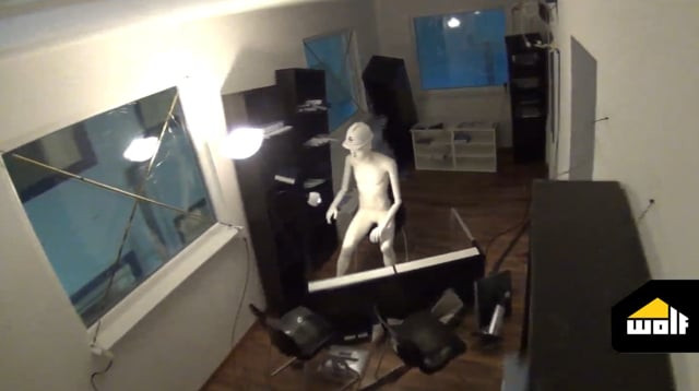 Prova Antisismica e Antidanno