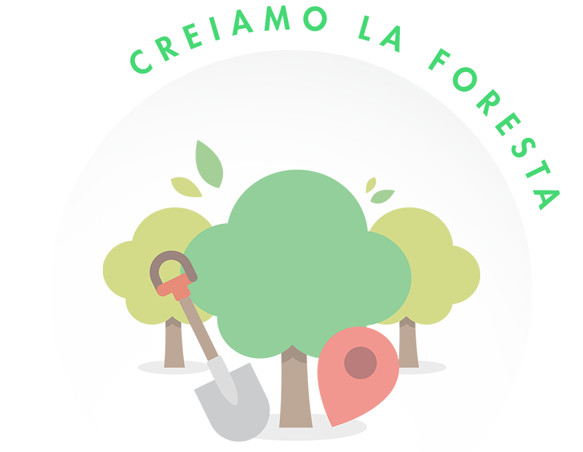 Creiamo la foresta