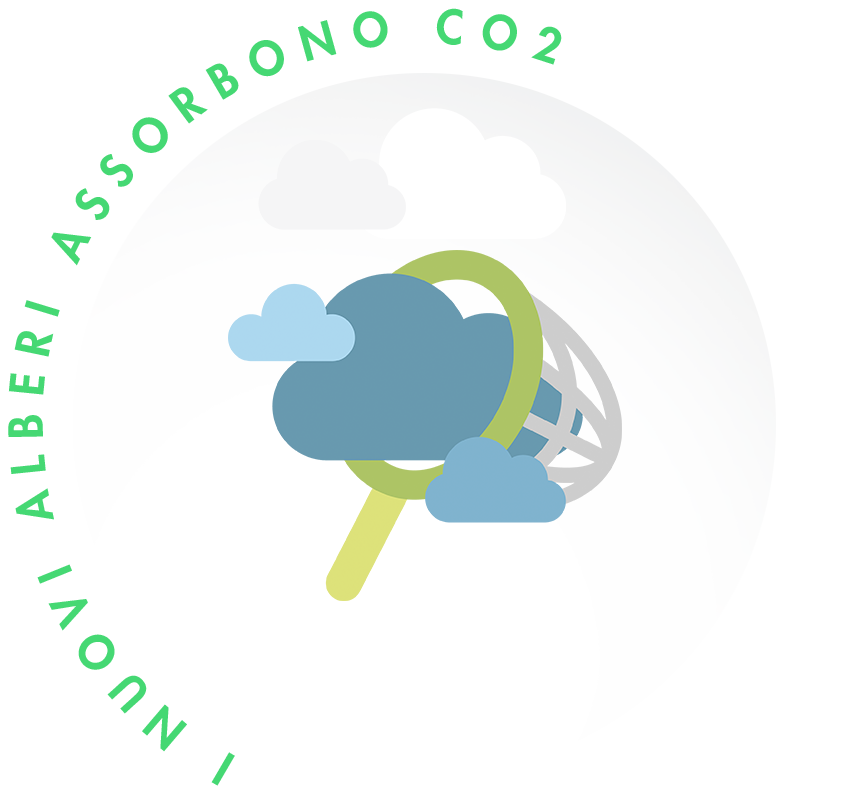 I nuovi alberi assorbono co2