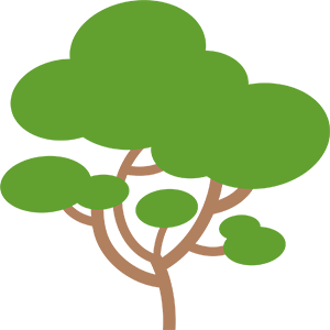 Moringa icon