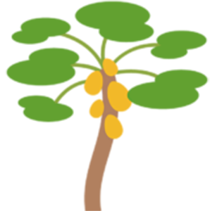 Papaya icon